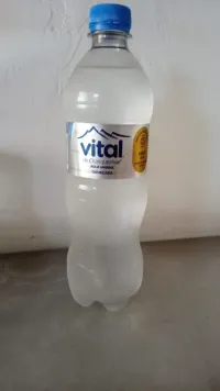 Mineral Vital con gas 600cc
