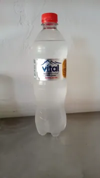 Mineral Vital sin gas 600cc